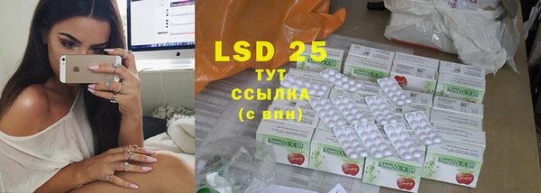 стаф Тихвин