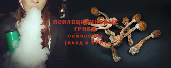 гашик Аркадак