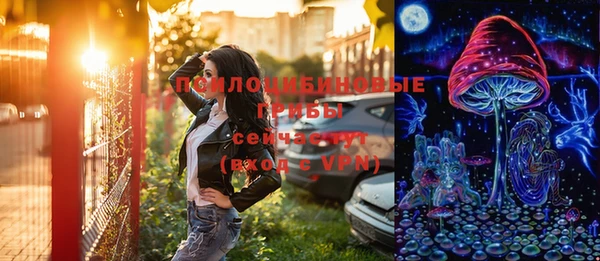 гашик Аркадак