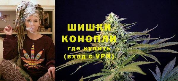 гашик Аркадак