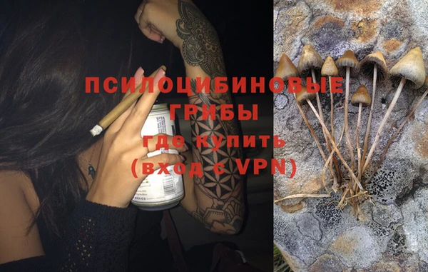 ГАЛЛЮЦИНОГЕННЫЕ ГРИБЫ Арсеньев