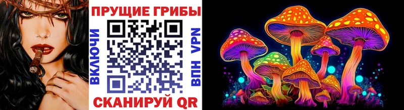 Галлюциногенные грибы Psilocybe  гидра как зайти  Ахтырский 